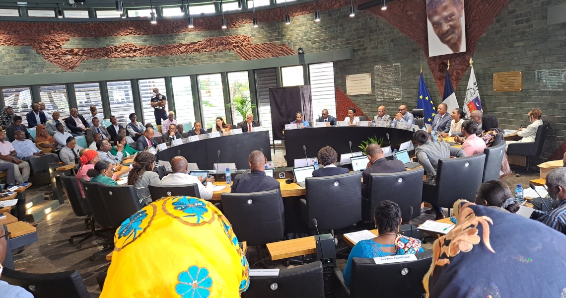 SÉANCE PLÉNIÈRE : Installation des deux nouveaux élu(e)s 