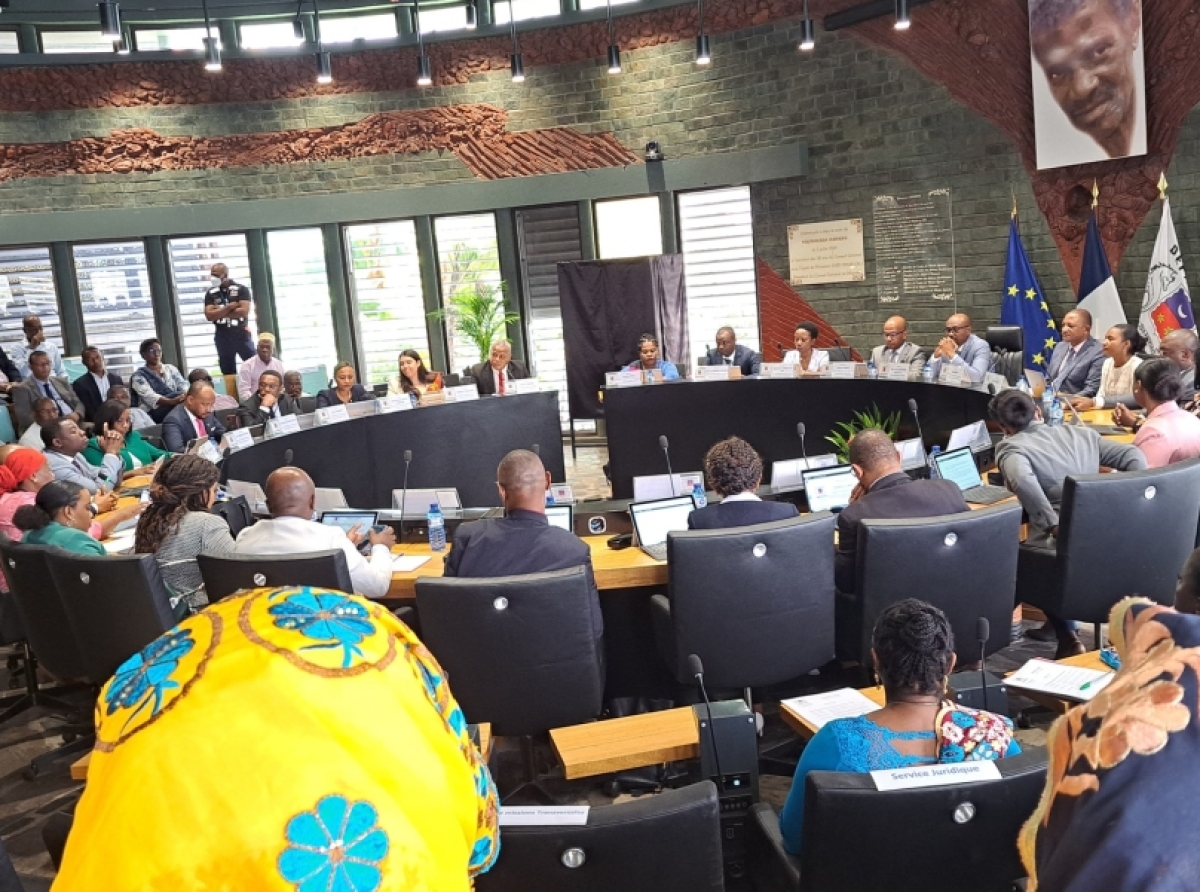 SÉANCE PLÉNIÈRE : Installation des deux nouveaux élu(e)s 